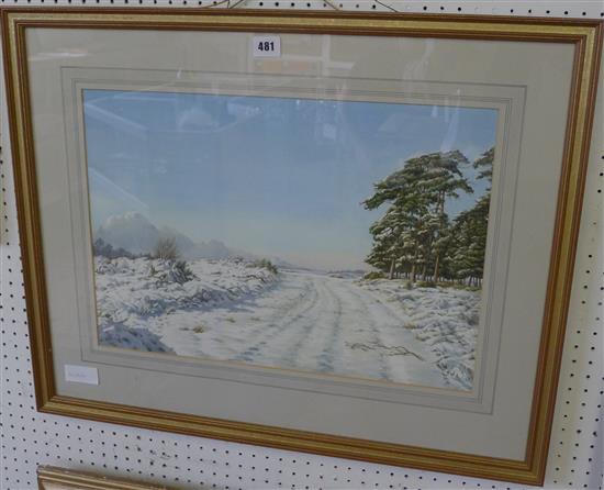 Jane Morgan, winter landscape, Ashdown Forest(-)